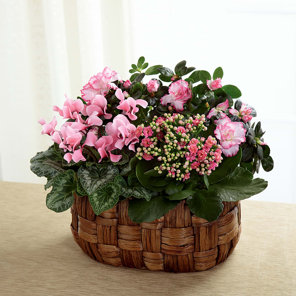Pink Assortment – Sunset Ridge Floral Llc, Morganton NC