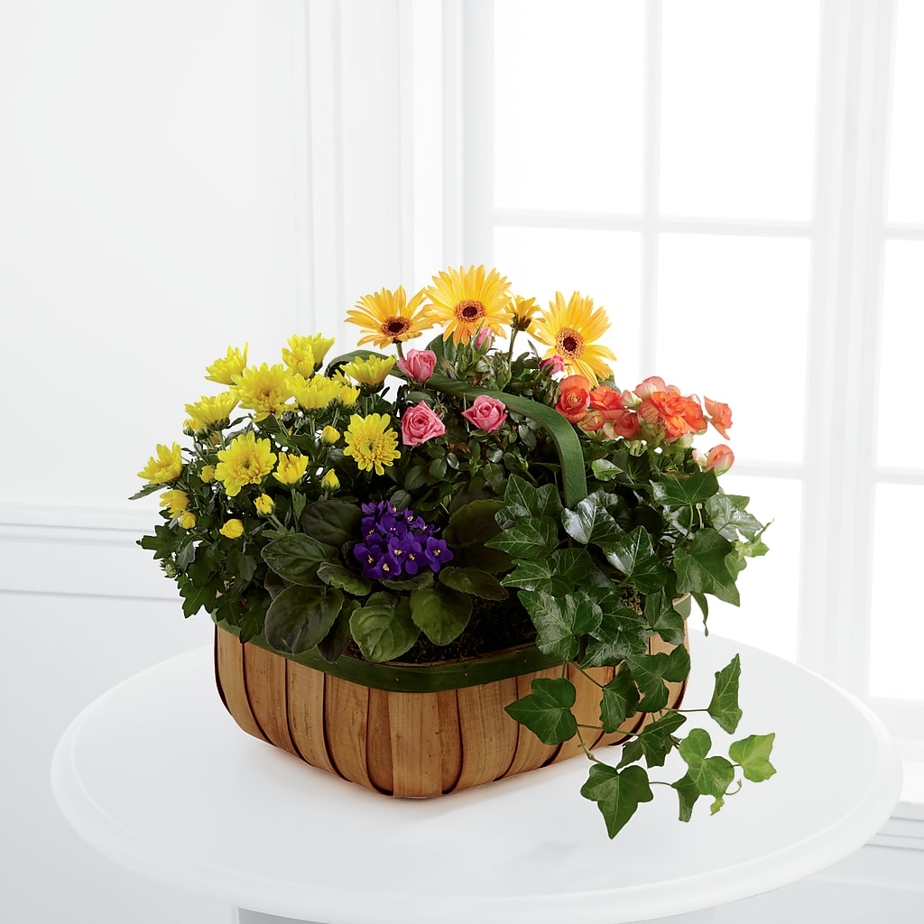 Gentle Blossoms Basket – Sunset Ridge Floral Llc, Morganton NC