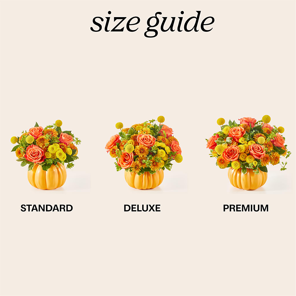 Gourdgeous Pumpkin – Sunset Ridge Floral Llc, Morganton NC