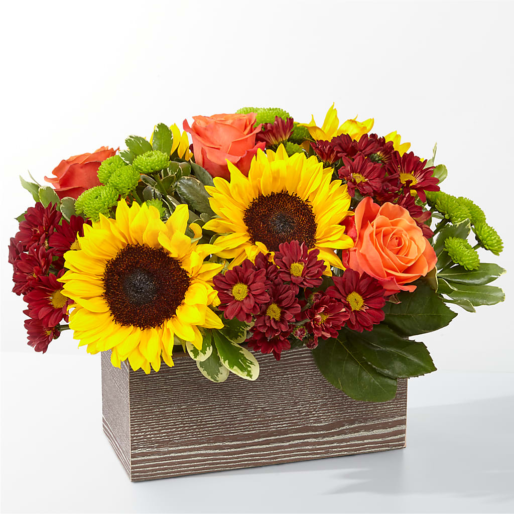Happy Harvest Garden – Sunset Ridge Floral Llc, Morganton NC