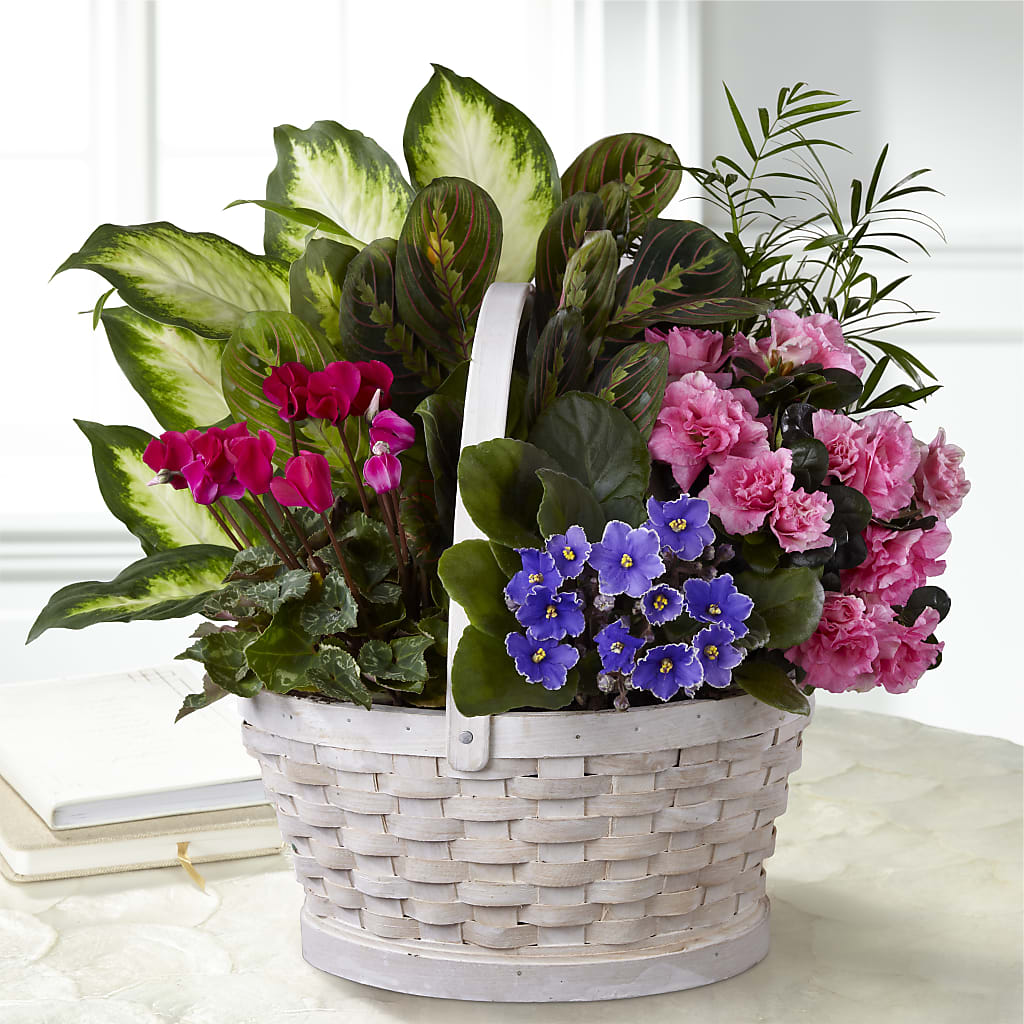 Peaceful Garden Planter – Sunset Ridge Floral Llc, Morganton NC