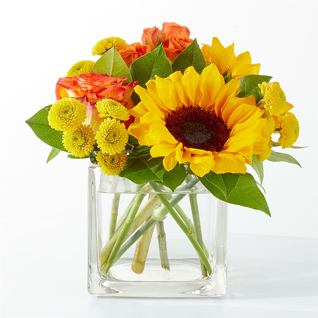 Picnic in the Park Bouquet – Sunset Ridge Floral Llc, Morganton NC