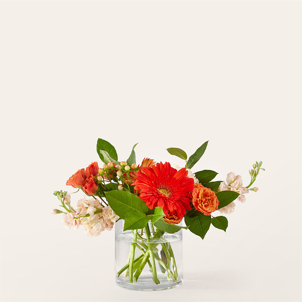Paloma Please Bouquet – Sunset Ridge Floral Llc, Morganton NC