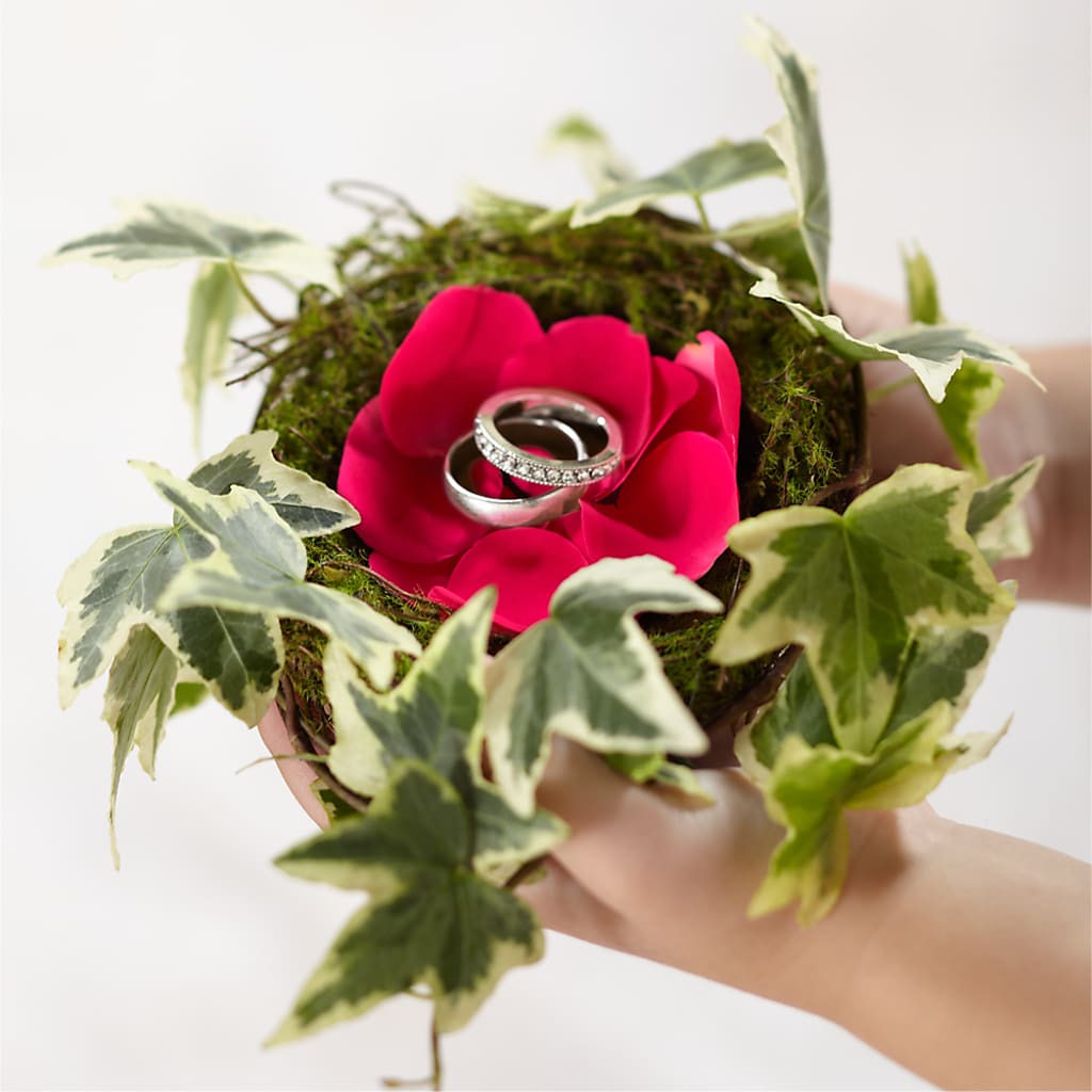 Lila Rose Ring Nest – Sunset Ridge Floral Llc, Morganton NC