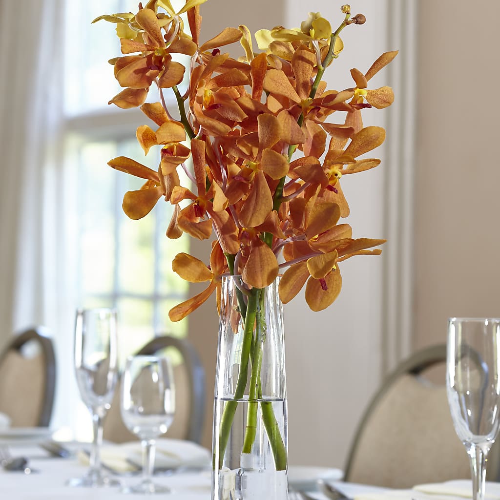 Orange Mokara Bud Vase – Sunset Ridge Floral Llc, Morganton NC