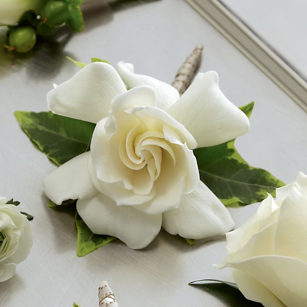 Gardenia Boutonniere – Sunset Ridge Floral Llc, Morganton NC