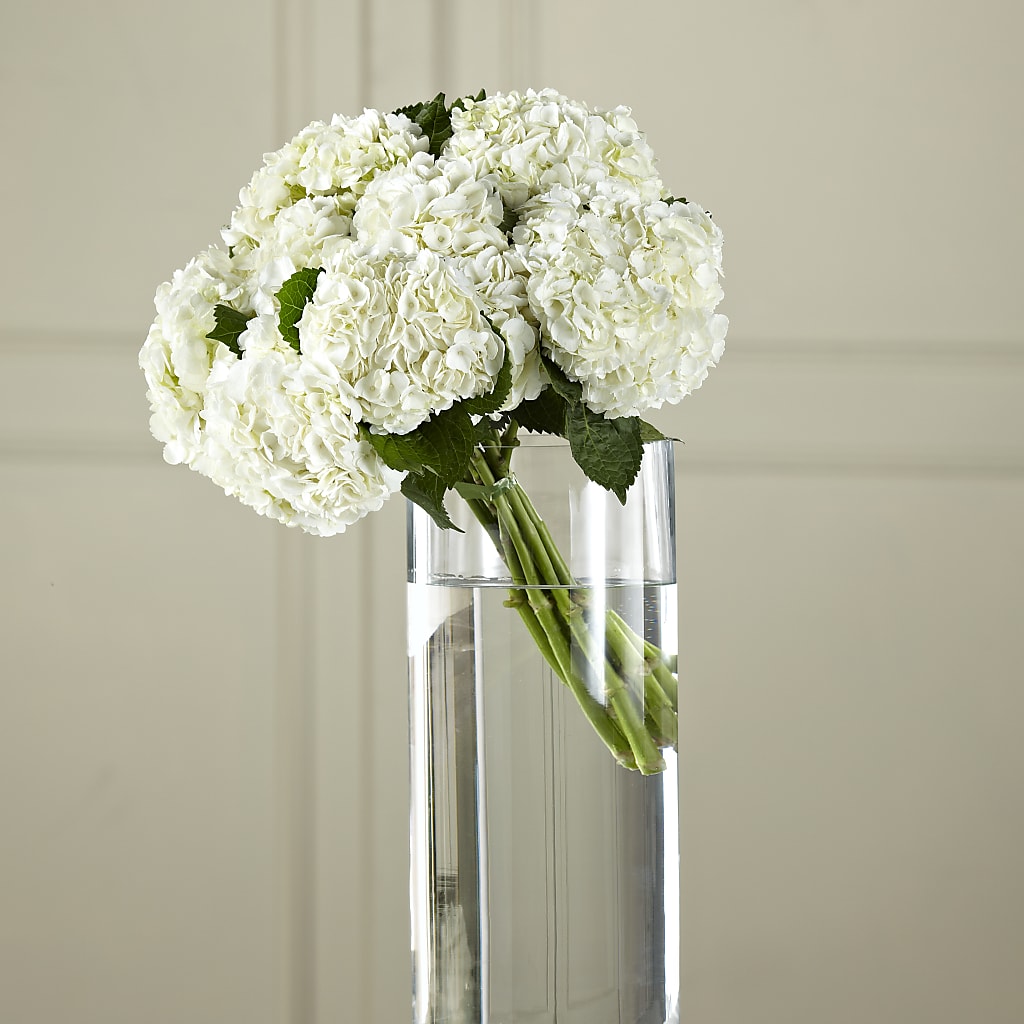 White Hydrangea Hand-Tied Bouquet – Sunset Ridge Floral Llc, Morganton NC