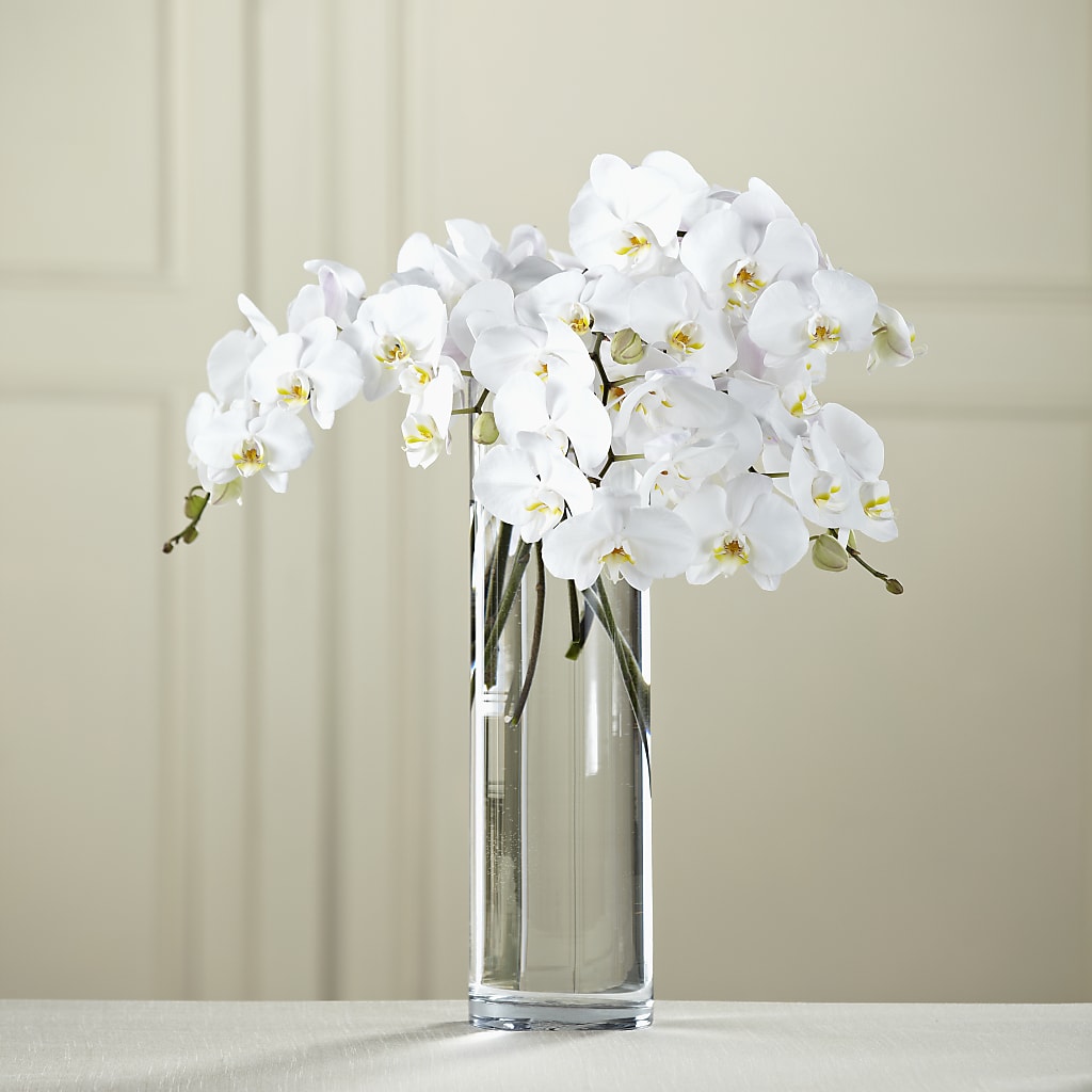 White Phalaenopsis Bouquet – Sunset Ridge Floral Llc, Morganton NC