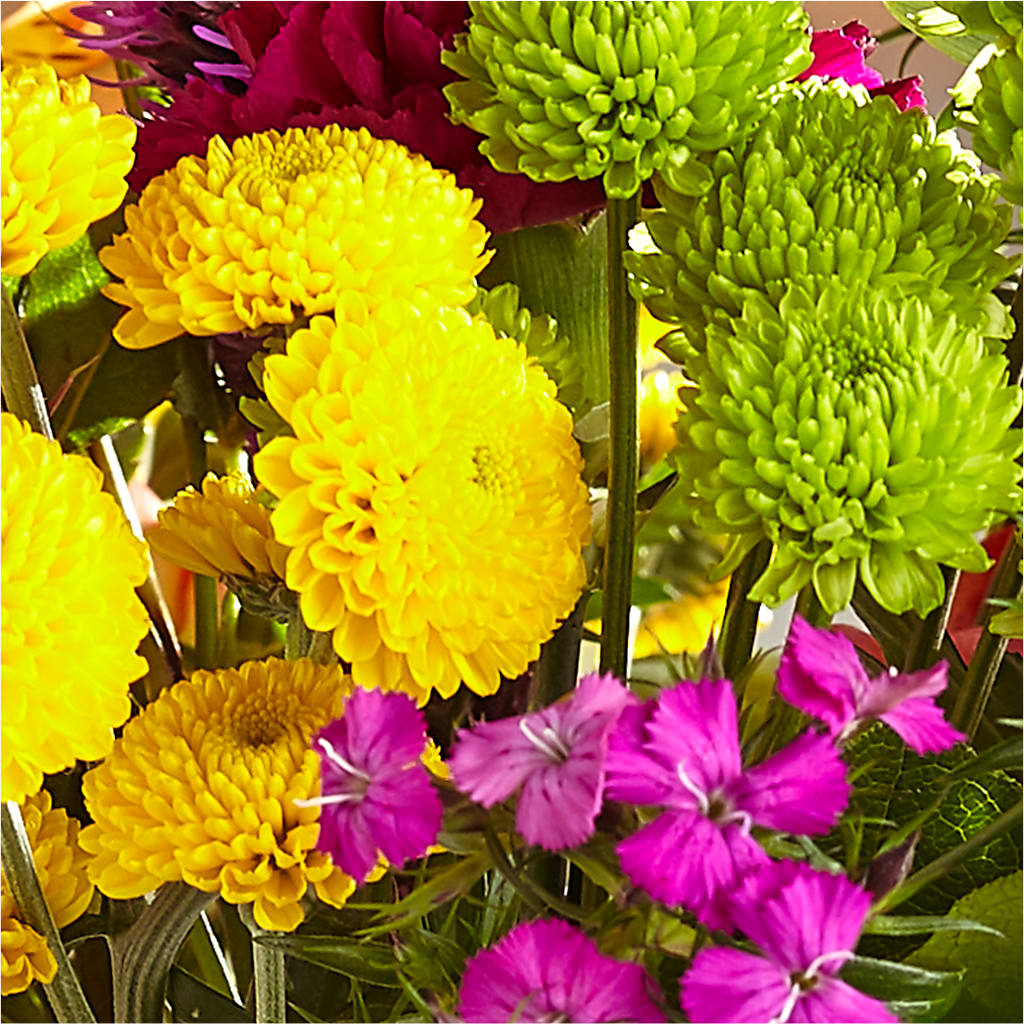 Bold & Bright – A Florist Original –  Sunset Ridge Floral Llc, Morganton NC