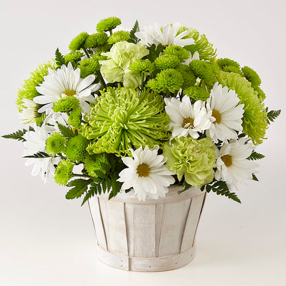 Lucky Charm Basket (Standard) –  Sunset Ridge Floral Llc, Morganton NC