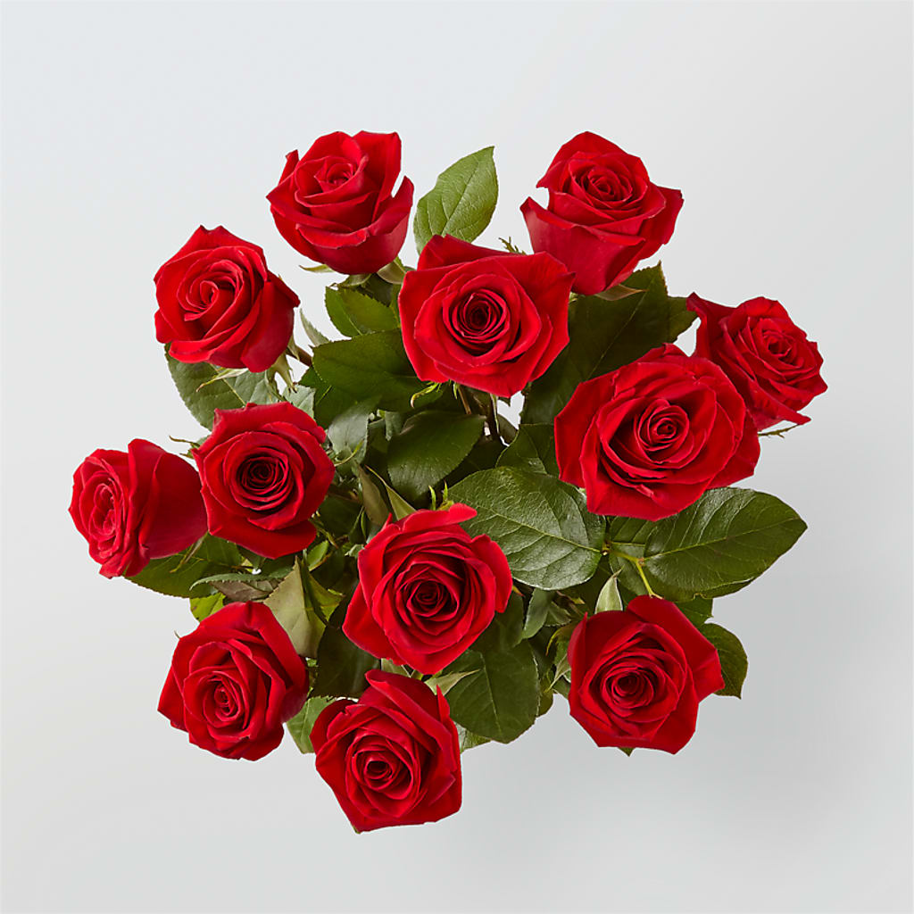 Long Stem Red Rose Bouquet –  Sunset Ridge Floral Llc, Morganton NC