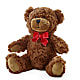 Adorable Plush Bear –  Sunset Ridge Floral Llc, Morganton NC