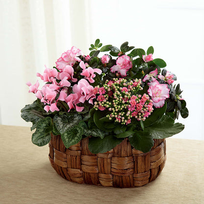 Pink Assortment –  Sunset Ridge Floral Llc, Morganton NC
