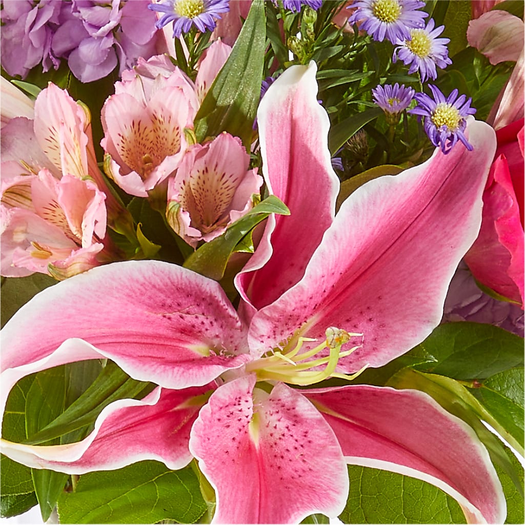Written in the Stars Bouquet –  Sunset Ridge Floral Llc, Morganton NC