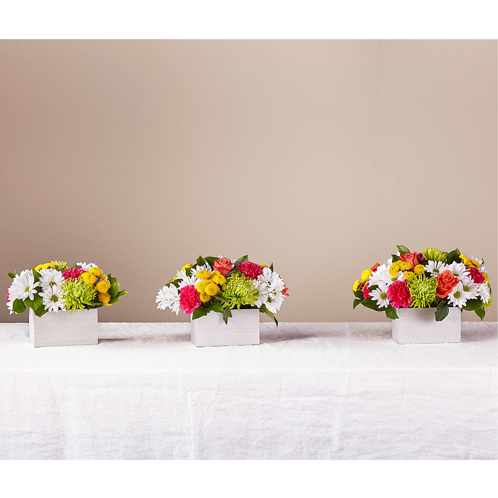 Sorbet Bouquet –  Sunset Ridge Floral Llc, Morganton NC