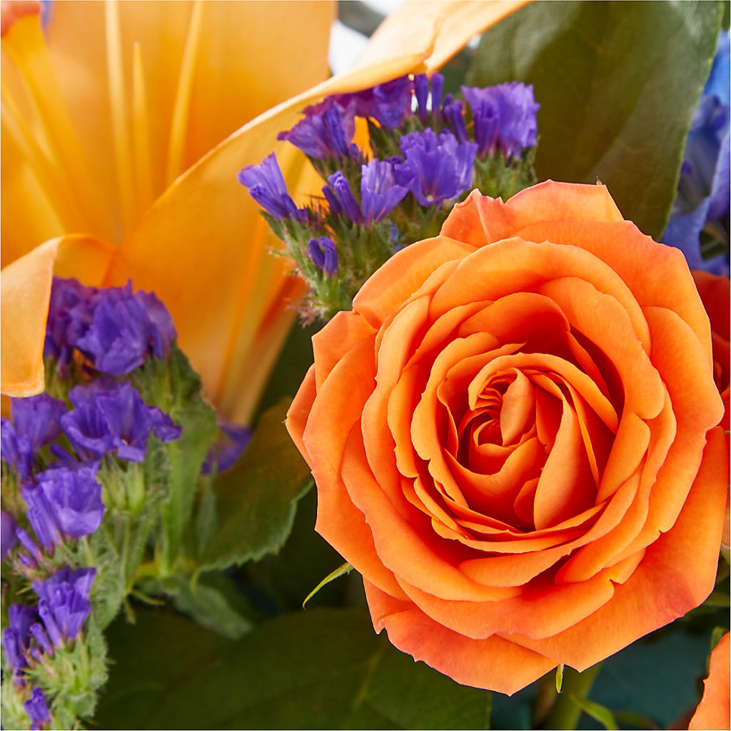 Radiant Citrus Box Bouquet –  Sunset Ridge Floral Llc, Morganton NC