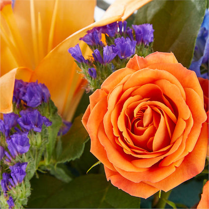 Radiant Citrus Box Bouquet –  Sunset Ridge Floral Llc, Morganton NC