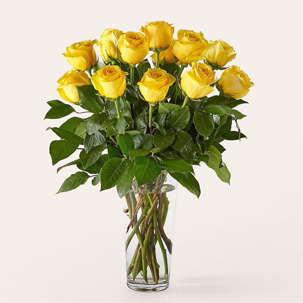Long Stem Yellow Rose Bouquet –  Sunset Ridge Floral Llc, Morganton NC