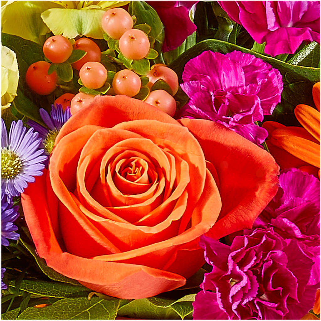 Tricks & Treats Pumpkin –  Sunset Ridge Floral Llc, Morganton NC