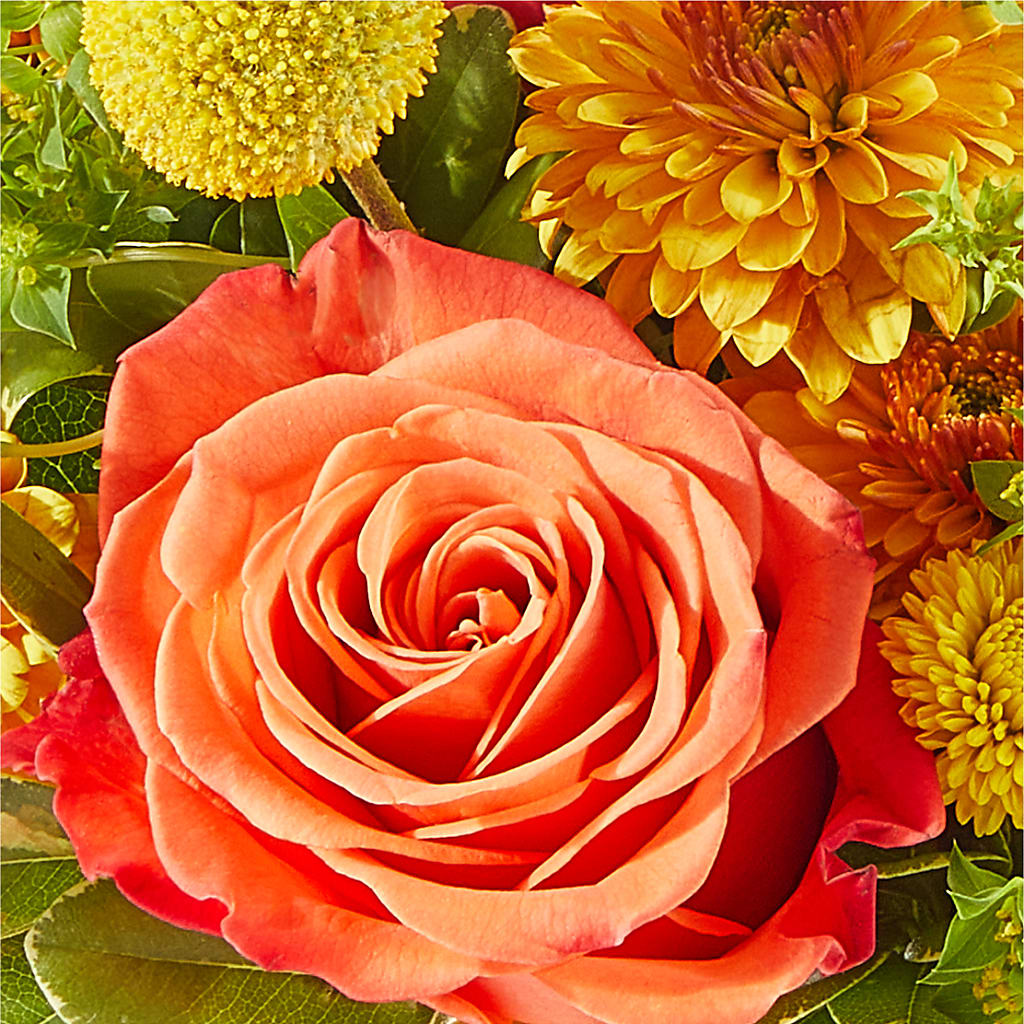 Gourdgeous Pumpkin –  Sunset Ridge Floral Llc, Morganton NC