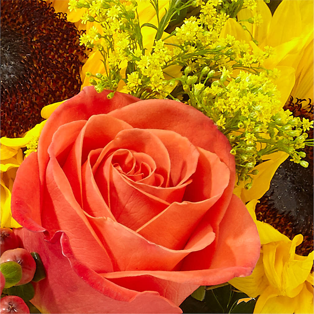 Pick of the Patch Pumpkin Bouquet –  Sunset Ridge Floral Llc, Morganton NC