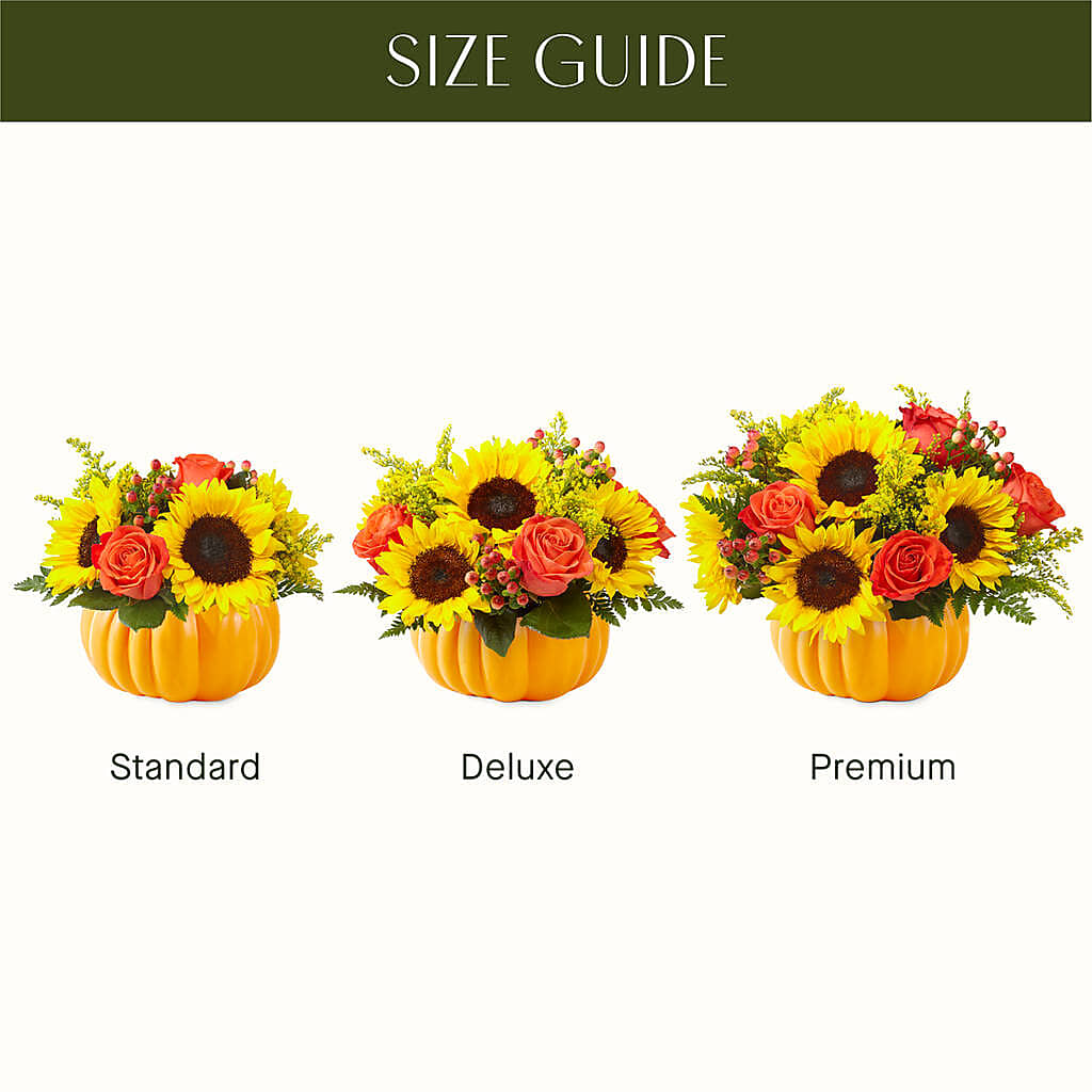 Pick of the Patch Pumpkin Bouquet –  Sunset Ridge Floral Llc, Morganton NC