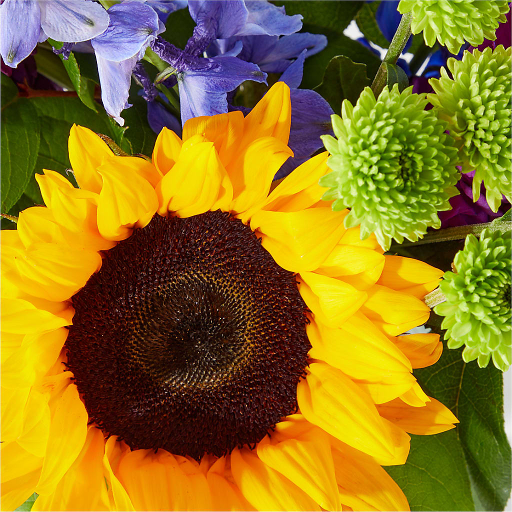 Catching Rays Bouquet –  Sunset Ridge Floral Llc, Morganton NC