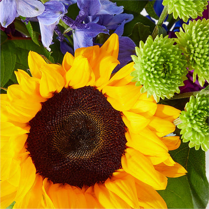 Catching Rays Bouquet –  Sunset Ridge Floral Llc, Morganton NC