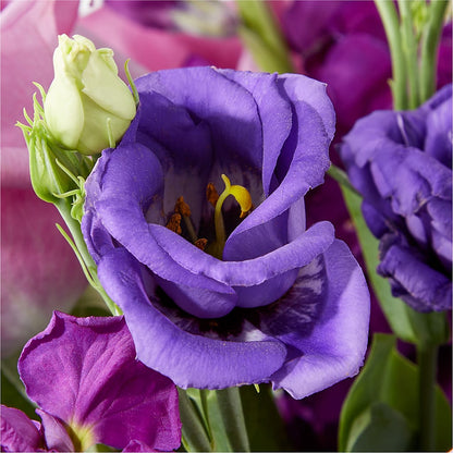Twilight Glow Bouquet –  Sunset Ridge Floral Llc, Morganton NC