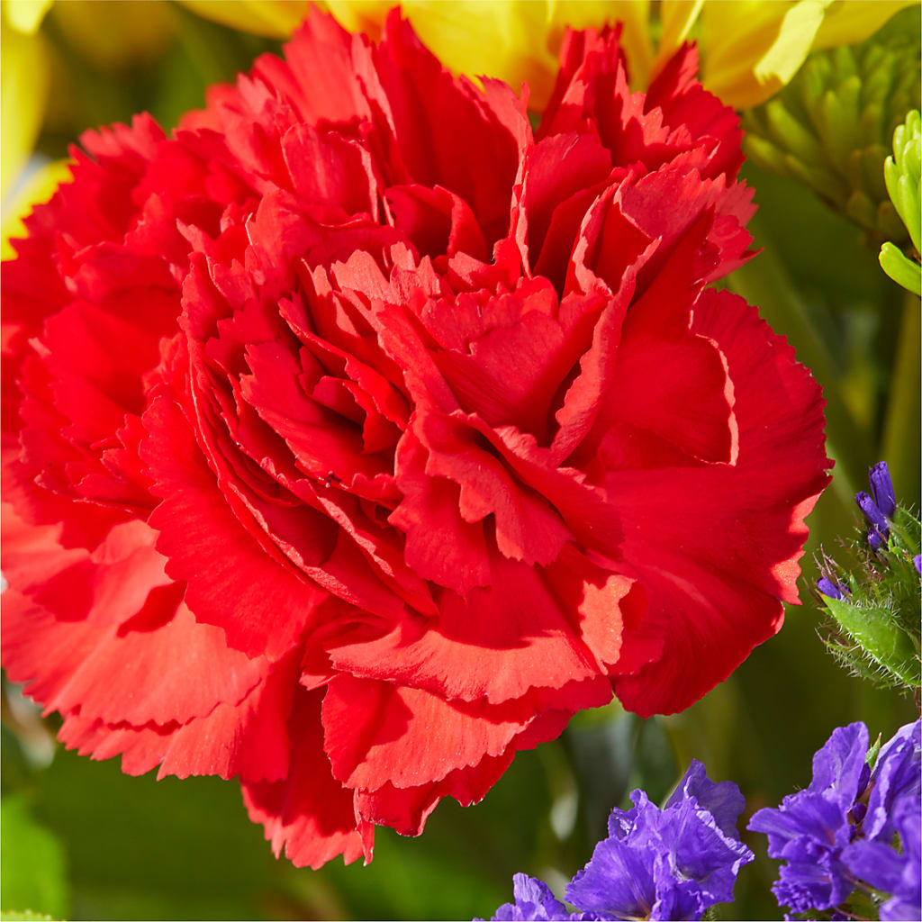 Brighter Days Bouquet –  Sunset Ridge Floral Llc, Morganton NC