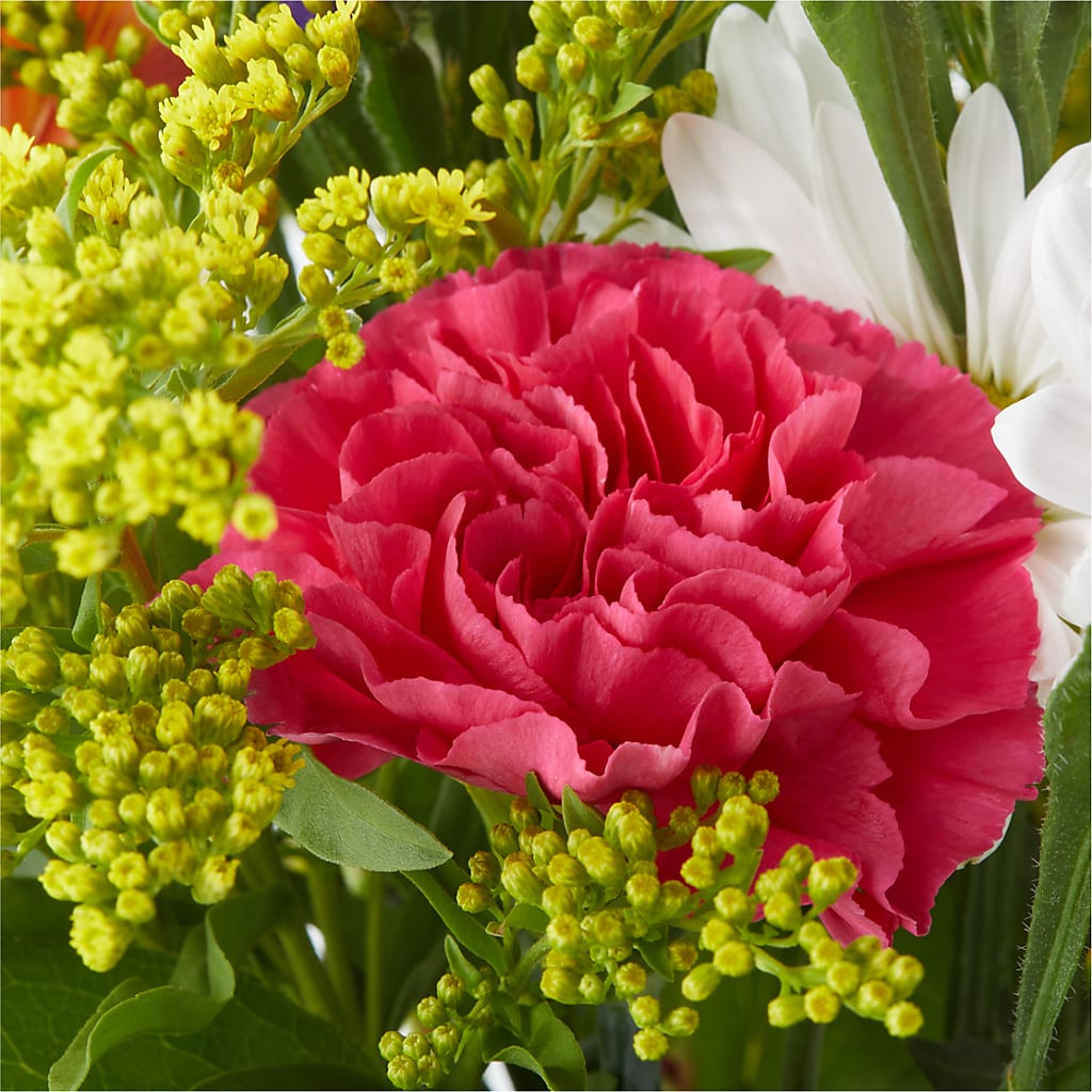 Oopsie Daisy Bouquet –  Sunset Ridge Floral Llc, Morganton NC
