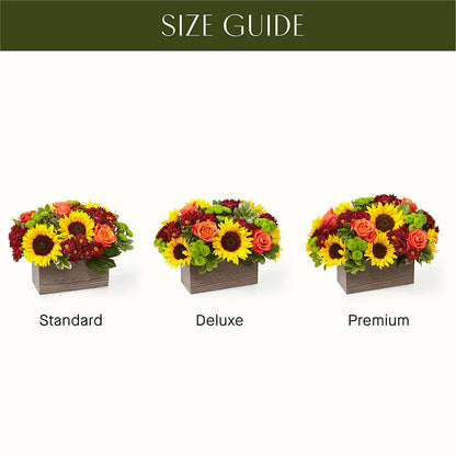 Happy Harvest Garden –  Sunset Ridge Floral Llc, Morganton NC