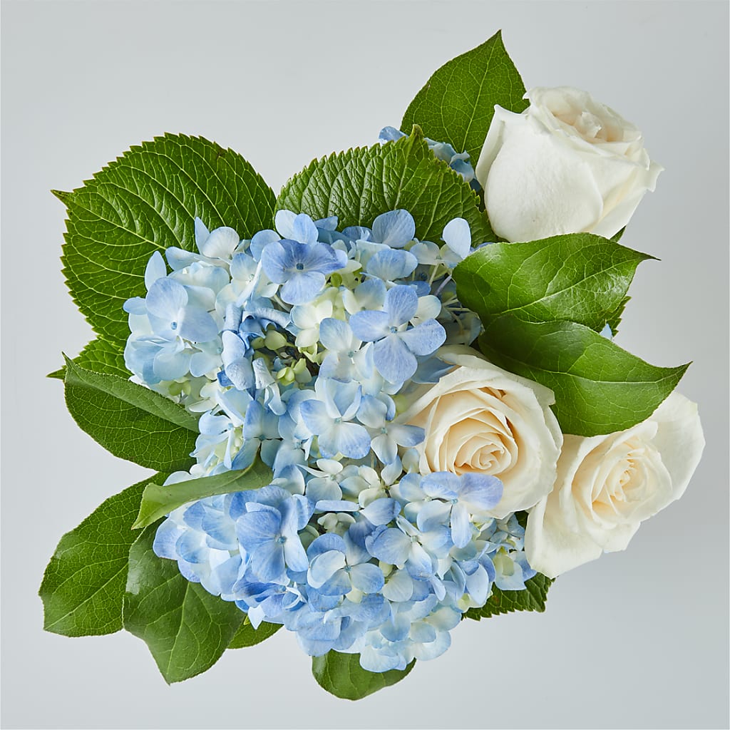 Sky Blue Delight Bouquet –  Sunset Ridge Floral Llc, Morganton NC