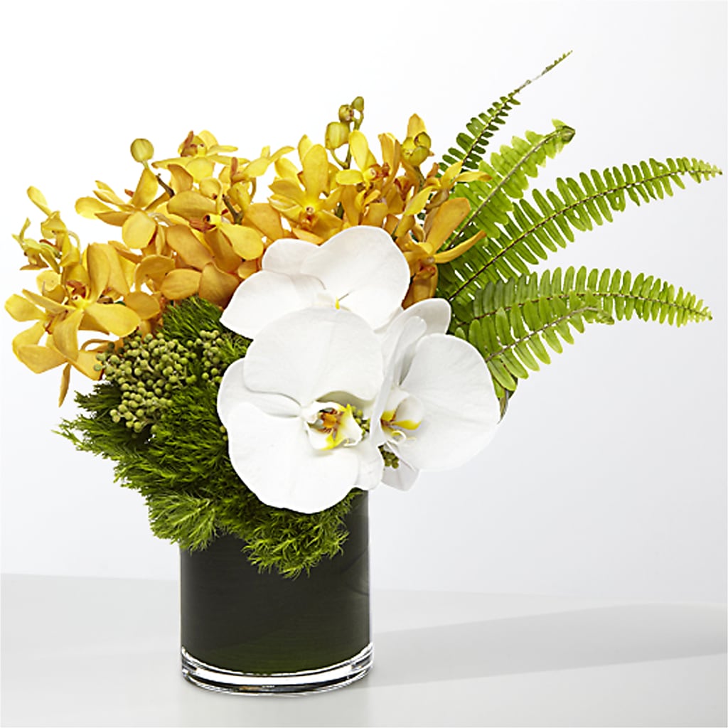 The Tropics –  Sunset Ridge Floral Llc, Morganton NC