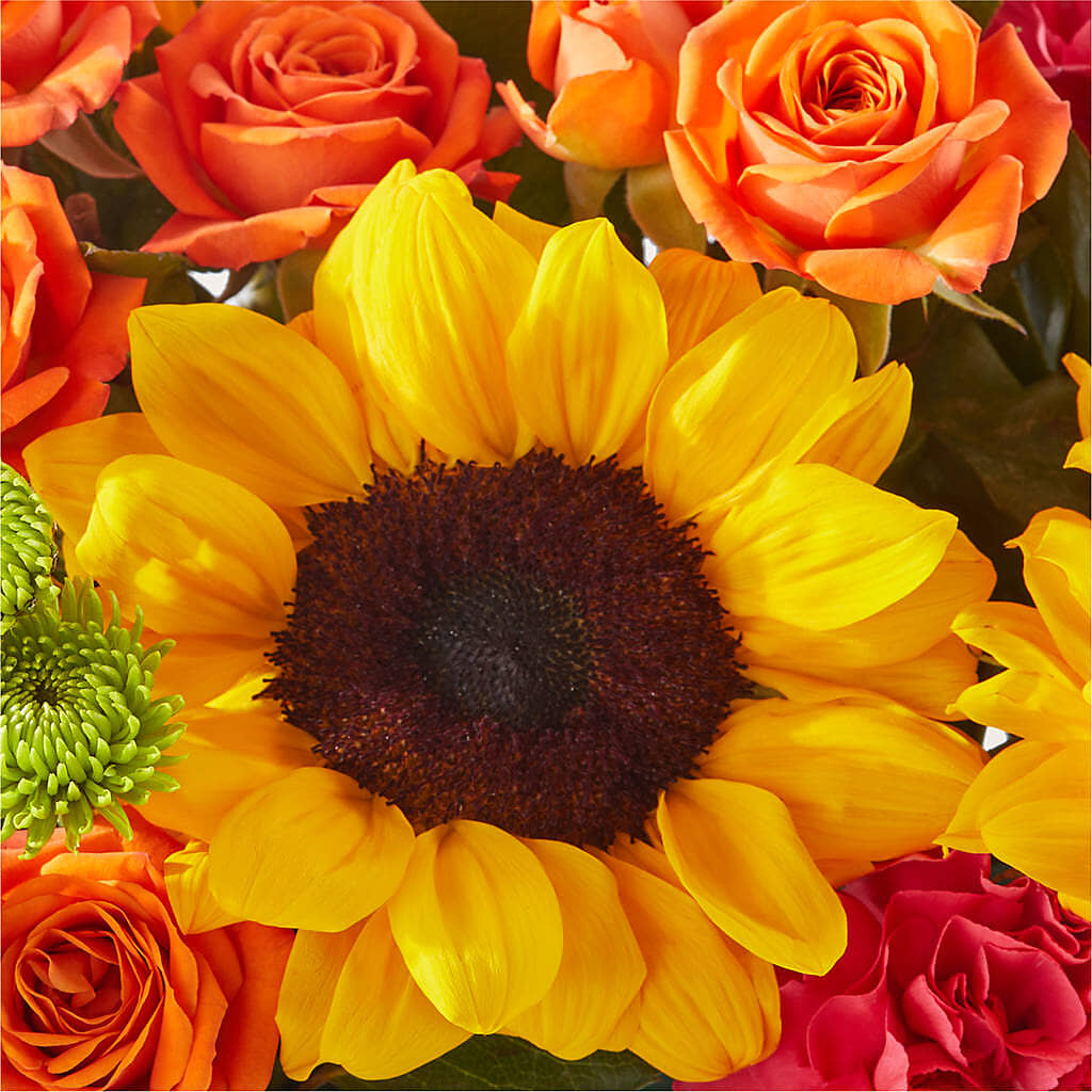 Sun-drenched Blooms Box Bouquet –  Sunset Ridge Floral Llc, Morganton NC
