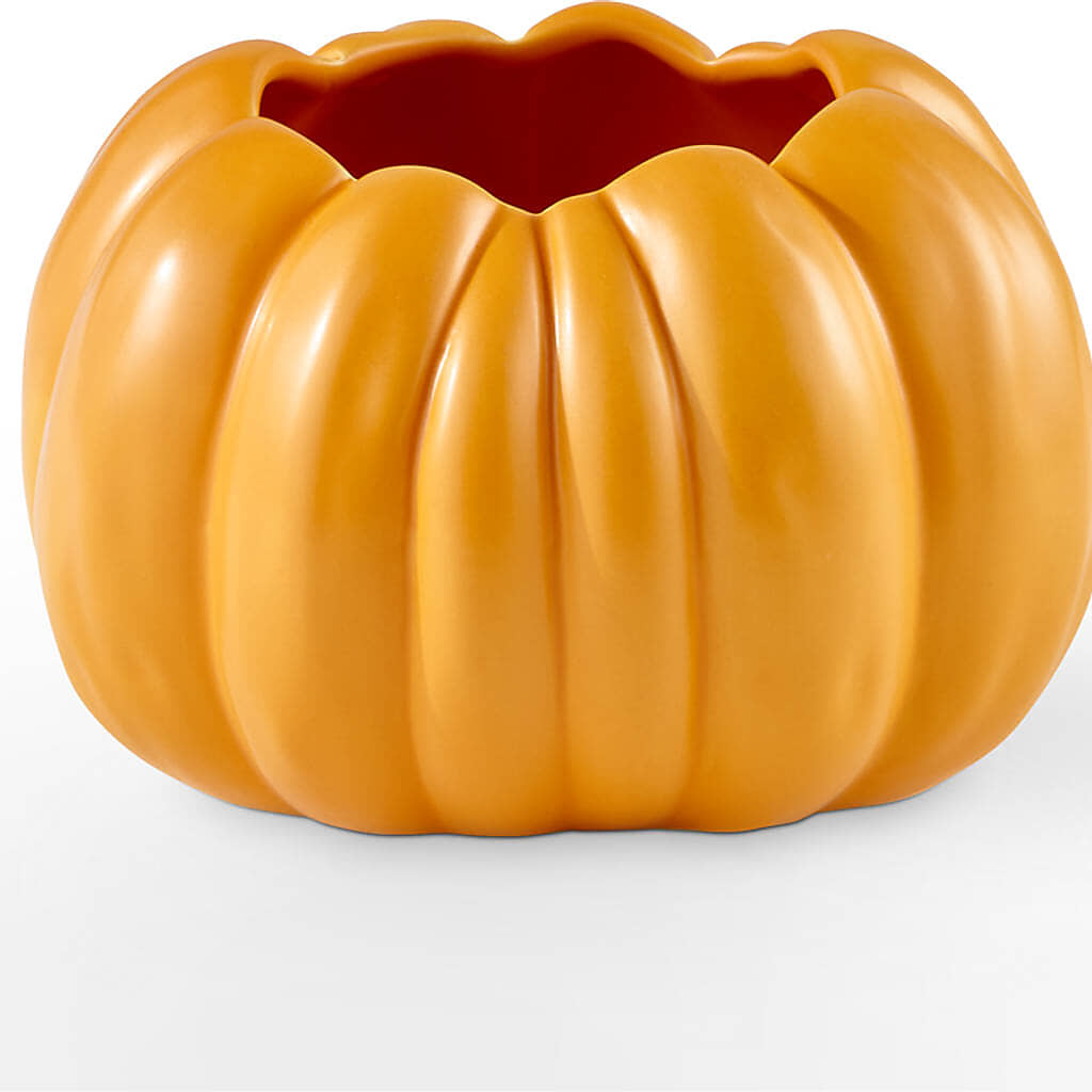 Golden Gourd Pumpkin Bouquet –  Sunset Ridge Floral Llc, Morganton NC