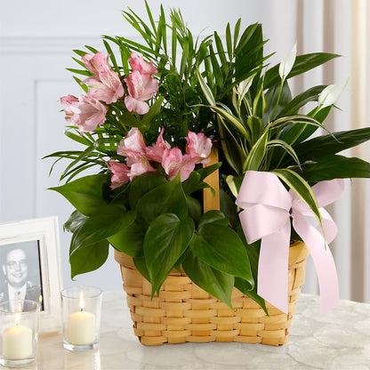 Living Spirit Dishgarden –  Sunset Ridge Floral Llc, Morganton NC