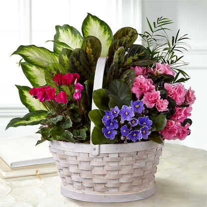 Peaceful Garden Planter –  Sunset Ridge Floral Llc, Morganton NC