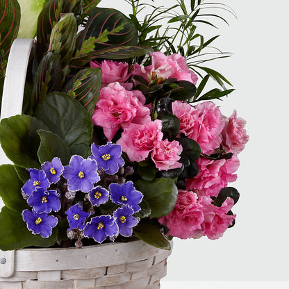 Peaceful Garden Planter –  Sunset Ridge Floral Llc, Morganton NC