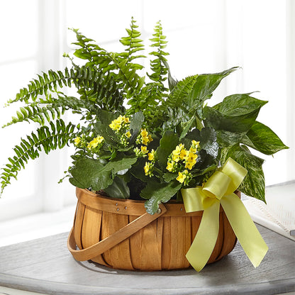Always Dear Dishgarden –  Sunset Ridge Floral Llc, Morganton NC