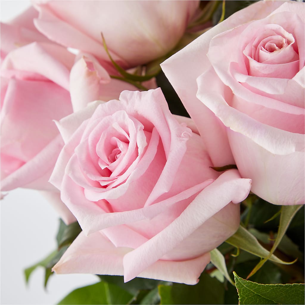 Picture Perfect Pink Rose Bouquet –  Sunset Ridge Floral Llc, Morganton NC