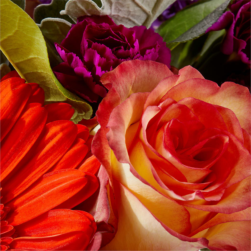 Sangria Bouquet –  Sunset Ridge Floral Llc, Morganton NC