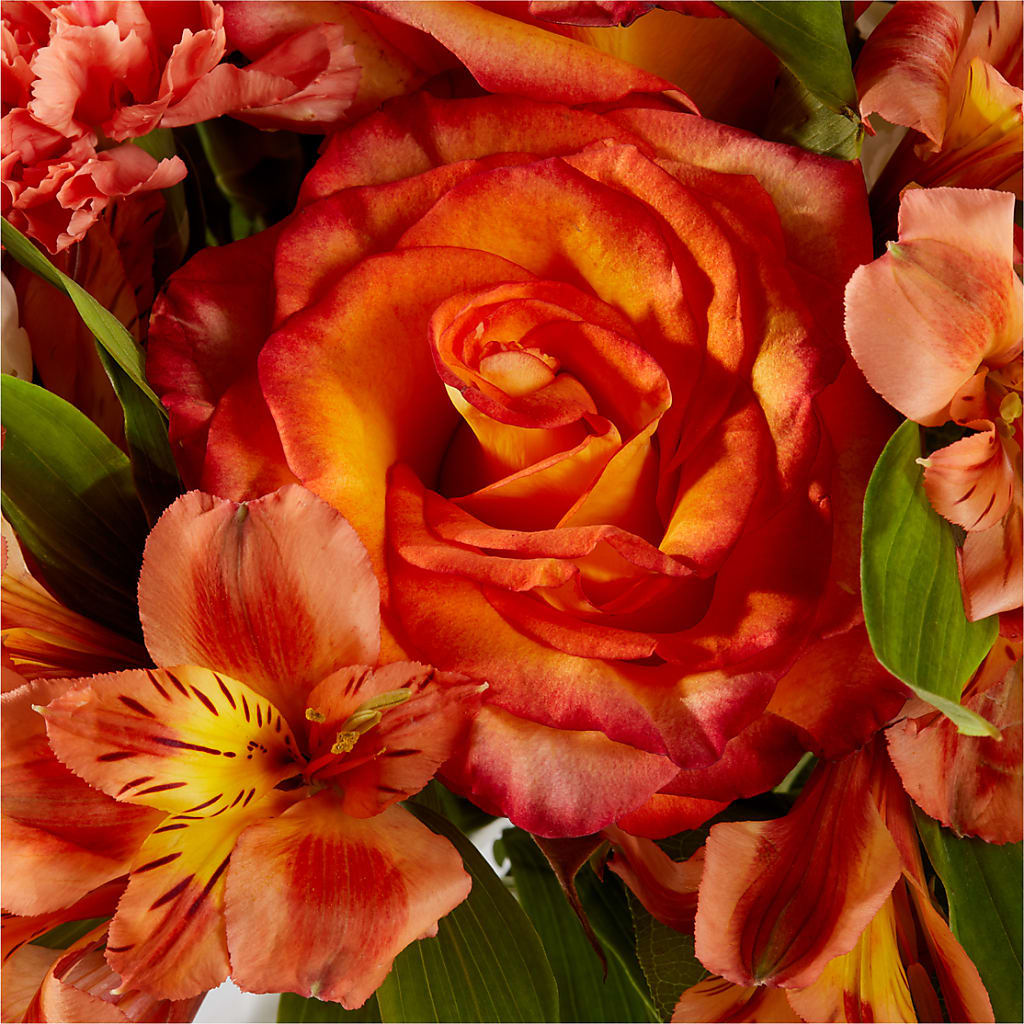 Apricot Glow Bouquet –  Sunset Ridge Floral Llc, Morganton NC
