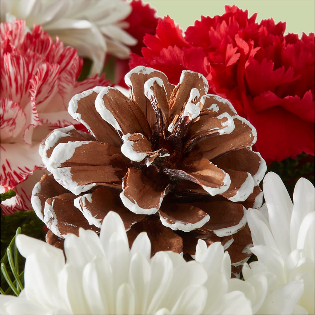 Candy Cane Lane Bouquet –  Sunset Ridge Floral Llc, Morganton NC