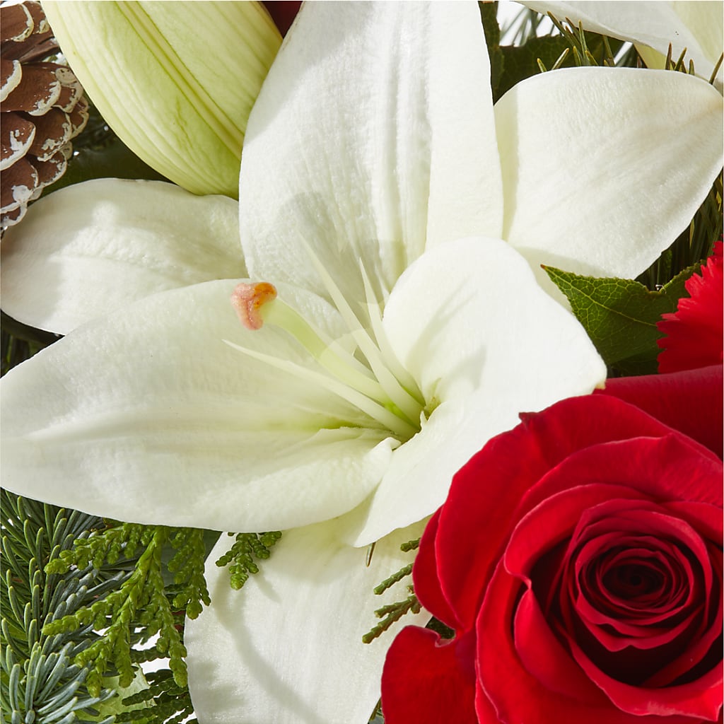 Oh So Jolly Bouquet –  Sunset Ridge Floral Llc, Morganton NC