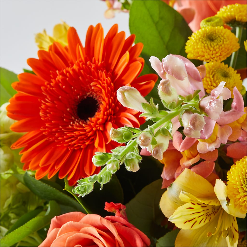 Autumn Sunshine Bouquet –  Sunset Ridge Floral Llc, Morganton NC