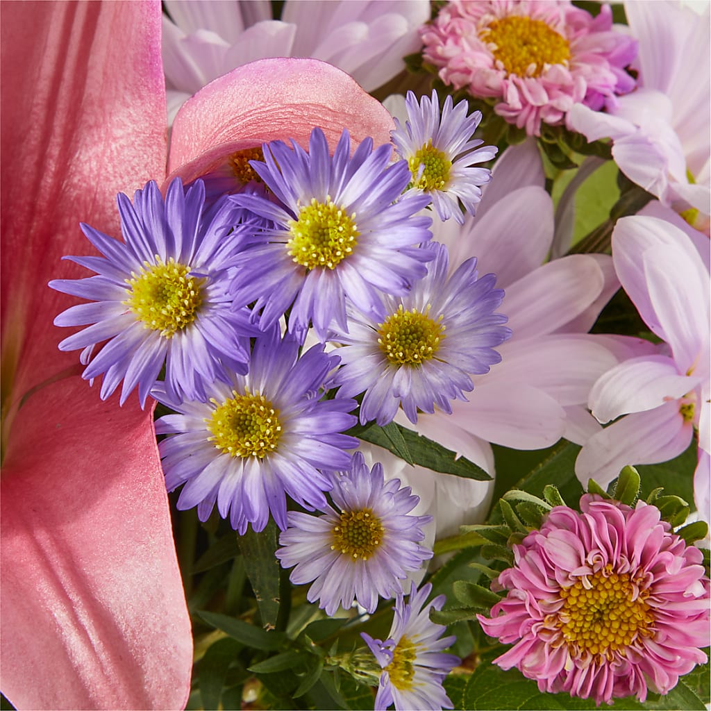 Pirouette Bouquet –  Sunset Ridge Floral Llc, Morganton NC