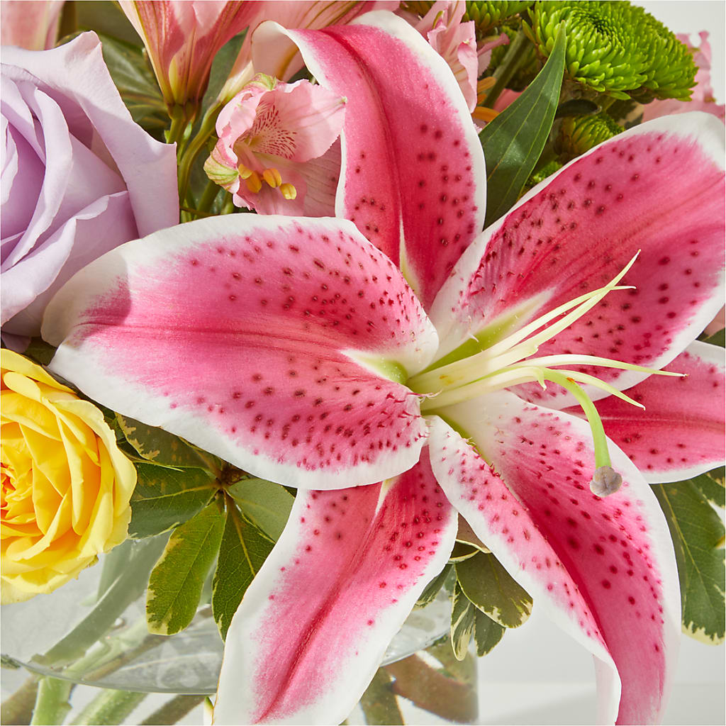 Serendipitous Blossoms Bouquet –  Sunset Ridge Floral Llc, Morganton NC