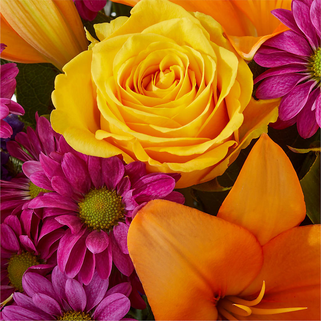 Colorful Visions Bouquet –  Sunset Ridge Floral Llc, Morganton NC