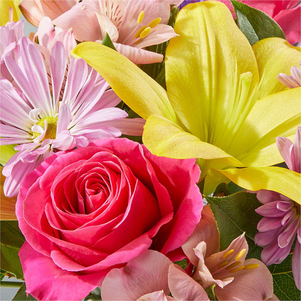 Sprinkles Bouquet –  Sunset Ridge Floral Llc, Morganton NC